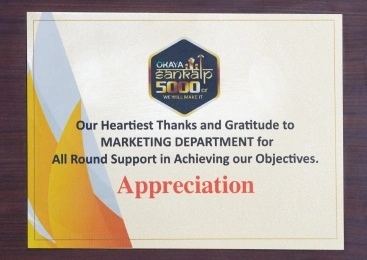 Okaya Power: Appreciation Certificate as emerging company of the year 2019