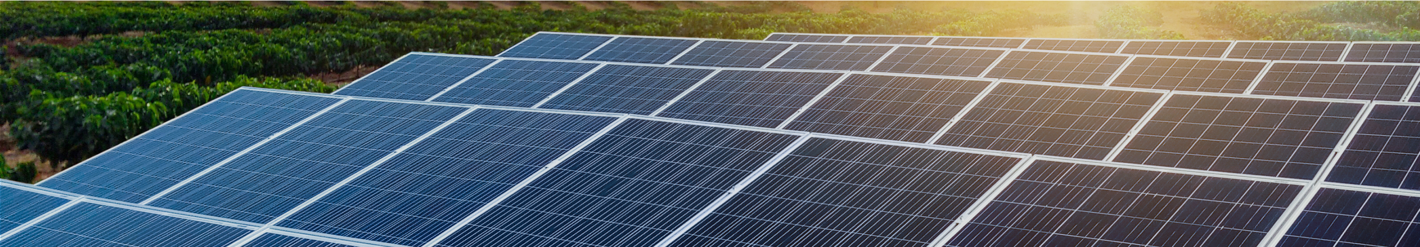 Okaya Solar Battery: Sustainable future for your power needs